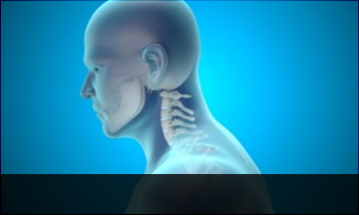 안산자생한방병원 목질환 일자목증후군-정상적인 C자형 목뼈 모습입니다.